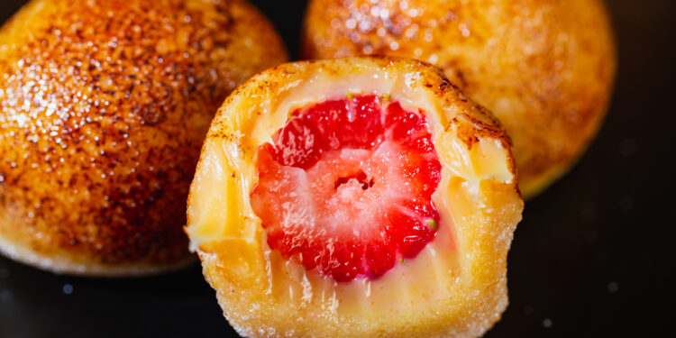 Fotos - Roberta Schwanke - Dia 22